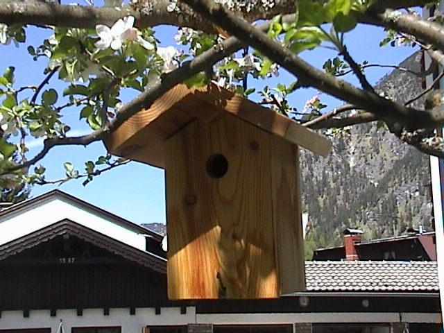 Haus Waldfriede Apartment Pertisau Exterior photo